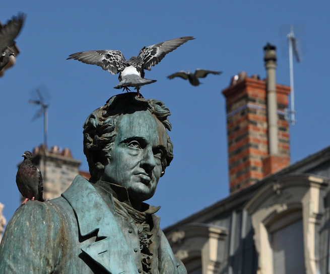 DARBORD-Insolites-statue-aux-pigeons